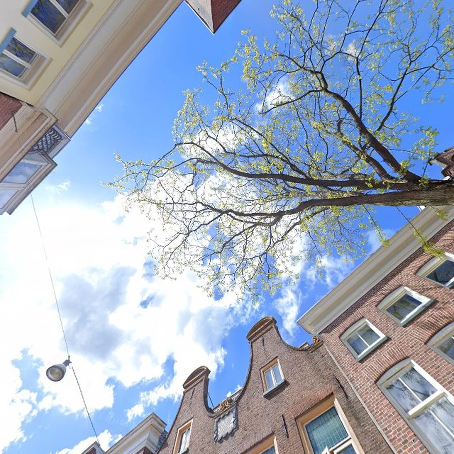 Kringloopwinkel Kringloopwinkel Onder De Linde in Groningen in Groningen Stad