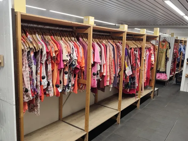 Rekken met tweedehands dameskleding in verschillende kleuren en stijlen in de winkel