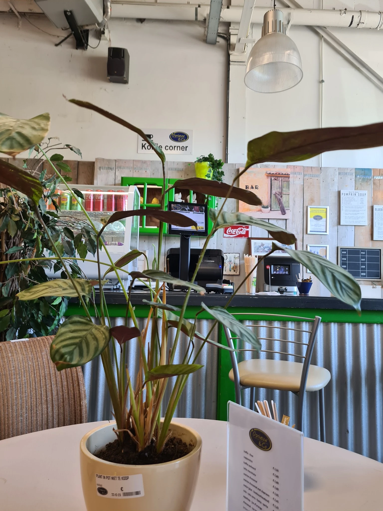 Binnenaanzicht van een kringloopwinkel met groene stellingen, potplanten, een Coca-Cola bord en informatieborden aan de muur