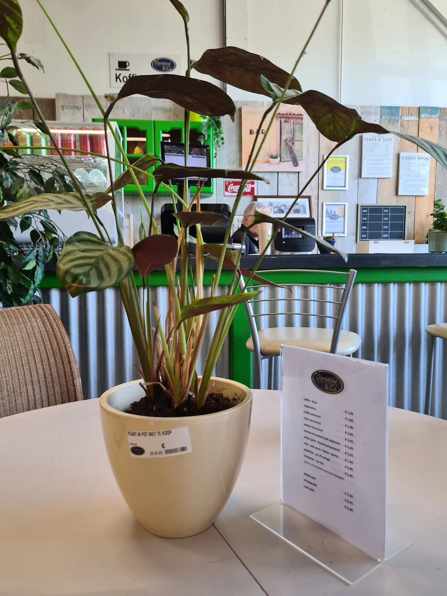 Binnenaanzicht van kringloopwinkel met plant op tafel, balie op achtergrond en menukaart zichtbaar
