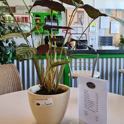 Bezoeker foto van Kringloopwinkel Opnieuw & Co Zwijndrecht in Zwijndrecht