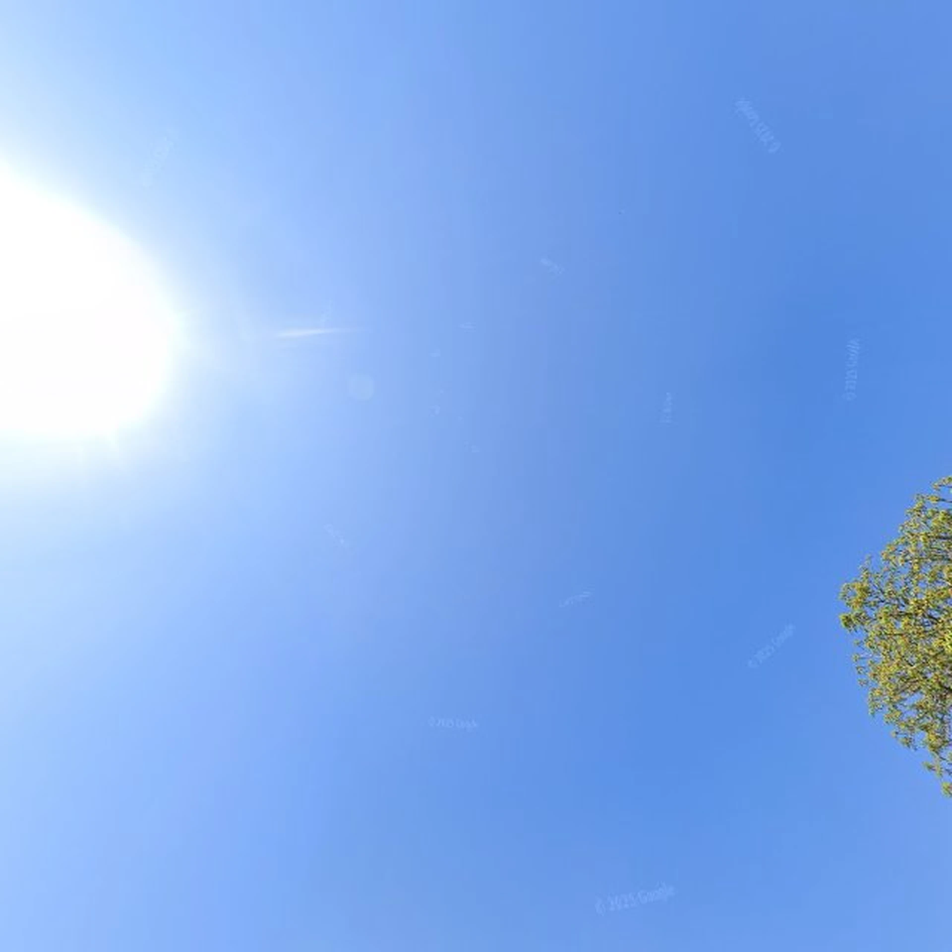 Kringloopwinkel Kringloopwinkel Oud en Nieuw Dijkman in Burgh-Haamstede