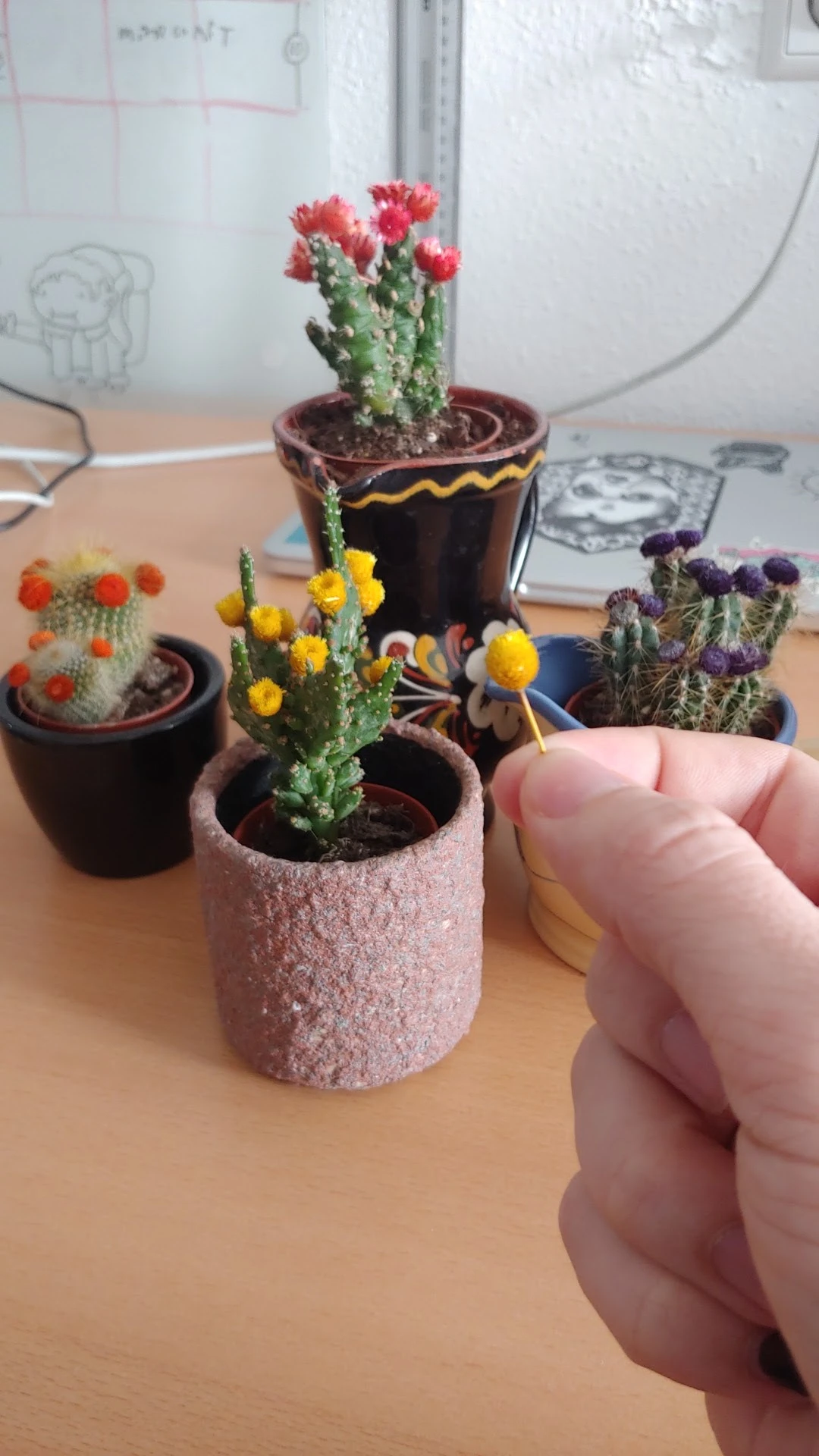 Close-up van miniaturcactussen in potjes, waaronder bloeiende soorten met gele en paarse bloemen