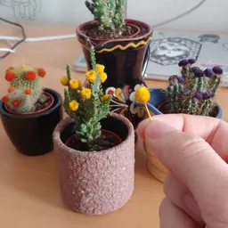 Close-up van miniaturcactussen in potjes, waaronder bloeiende soorten met gele en paarse bloemen