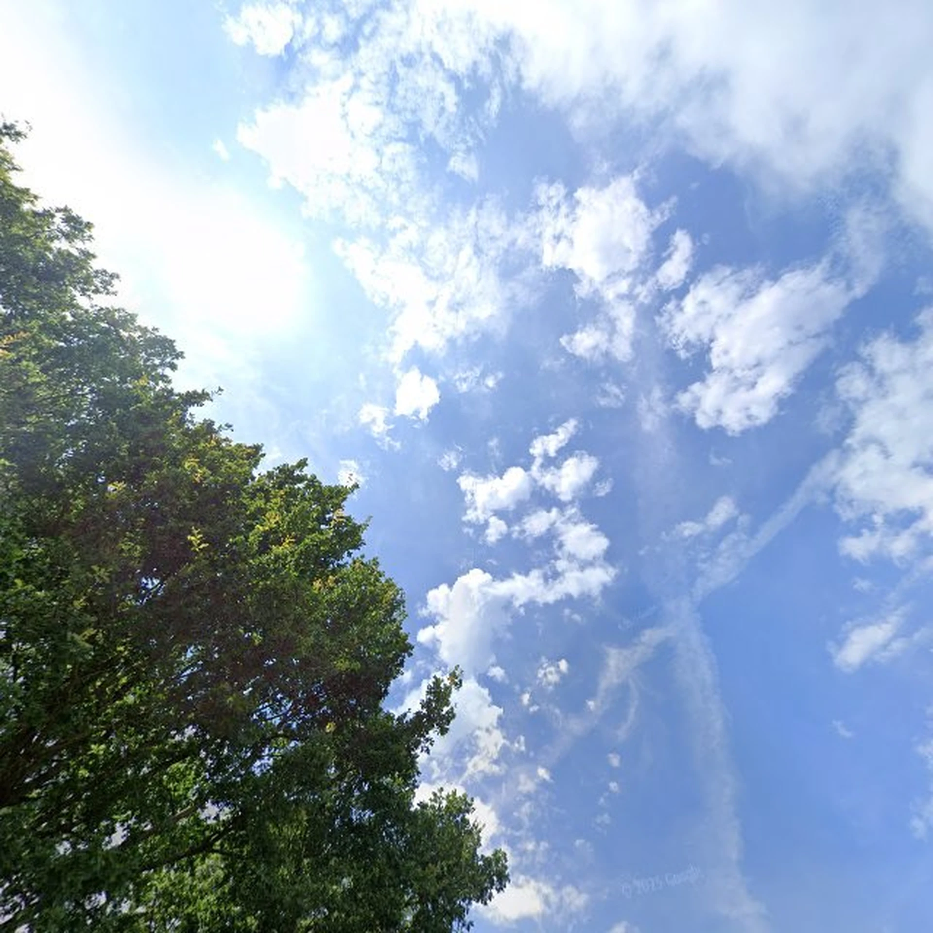 Kringloopwinkel Kringloopwinkel Pand28 in Wezup