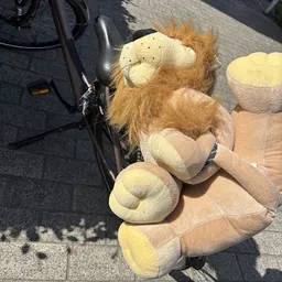 Bezoeker foto van Kringloopwinkel Pelgrimshoeve in Zoetermeer