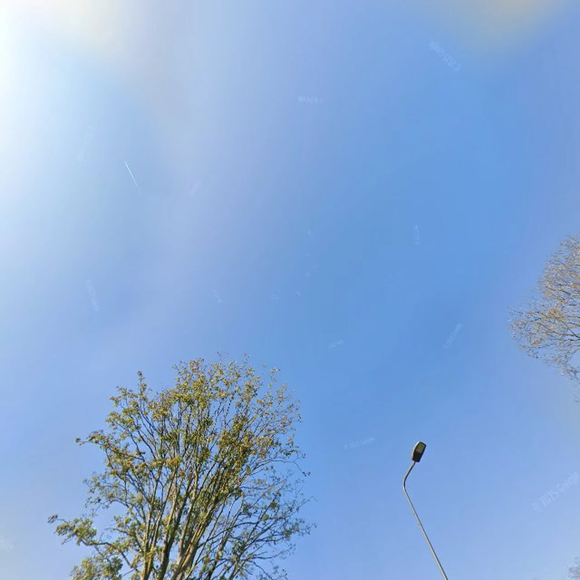 Kringloopwinkel Pimpt kringlooprosmalen in Rosmalen