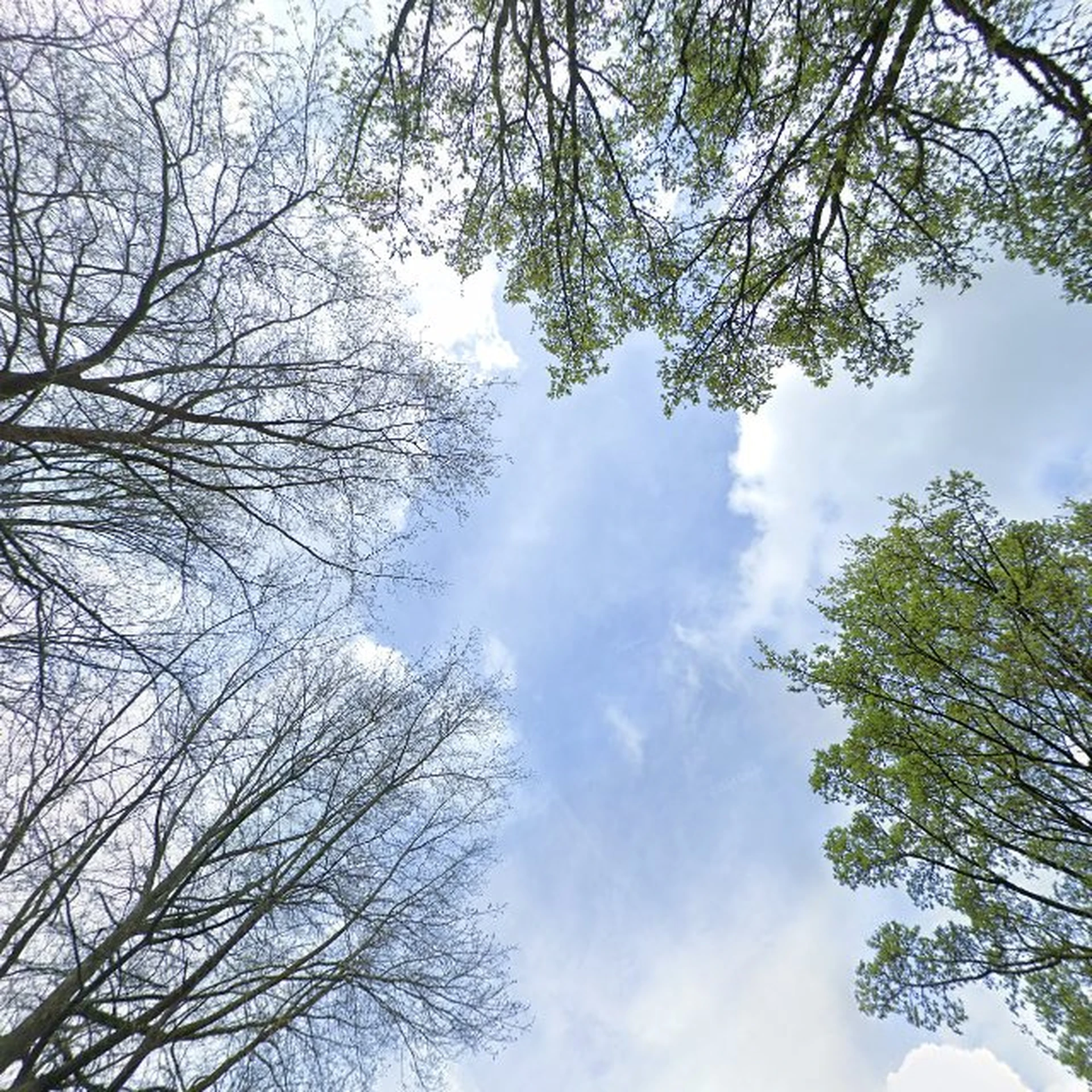 Kringloopwinkel Planten en Kringloopwinkel De Bromtol in Bennekom