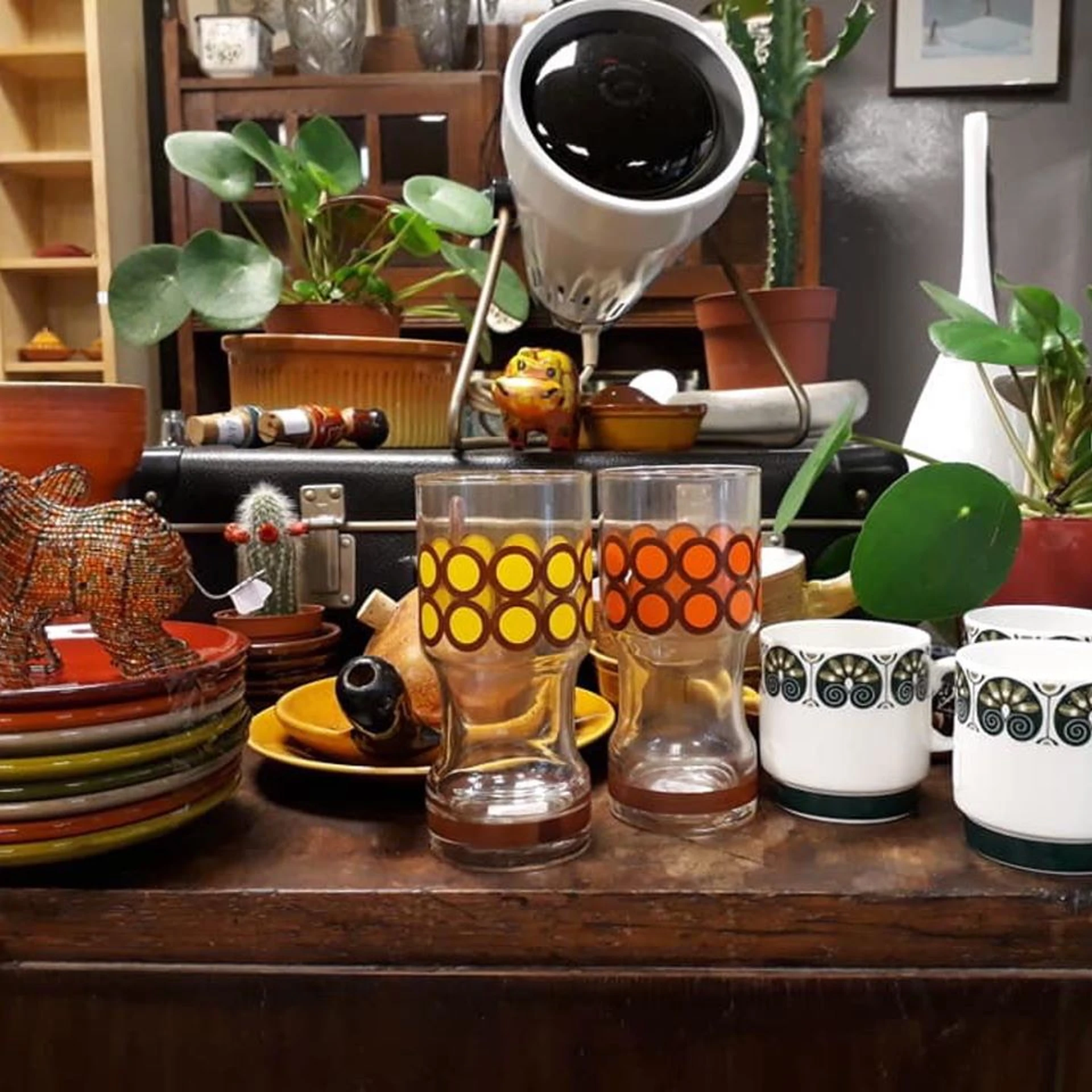 Kringloopwinkel Planten en Kringloopwinkel De Bromtol in Bennekom