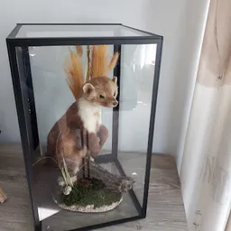 Bezoeker foto van Kringloopwinkel Poco Loco in Menaam