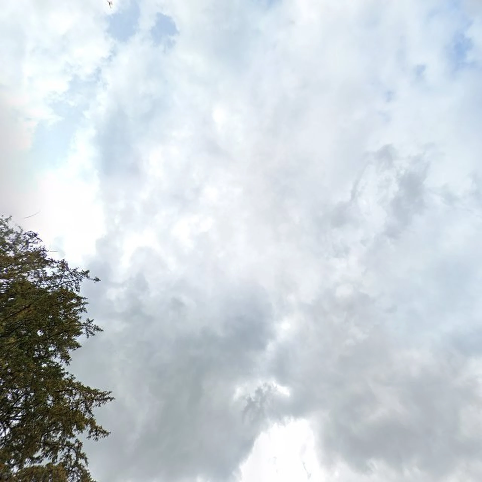 Kringloopwinkel Kringloopwinkel popup store HL in Hoogerheide