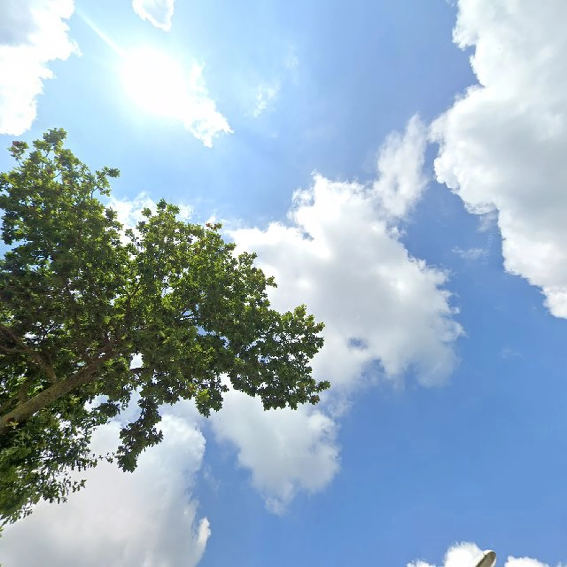 Kringloopwinkel RaderWerk Buitenpost in Buitenpost