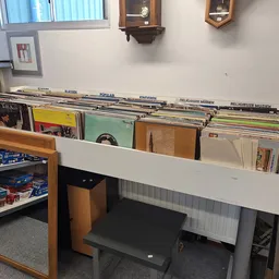 Vinyl platen en LP's uitgestald in een rek met alfabetische scheidingstabbladen in een kringloopwinkel