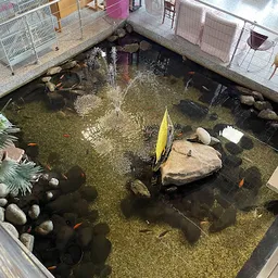 Bezoeker foto van Rataplan Beverwijk in Beverwijk