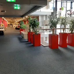 Bezoeker foto van Rataplan Beverwijk in Beverwijk