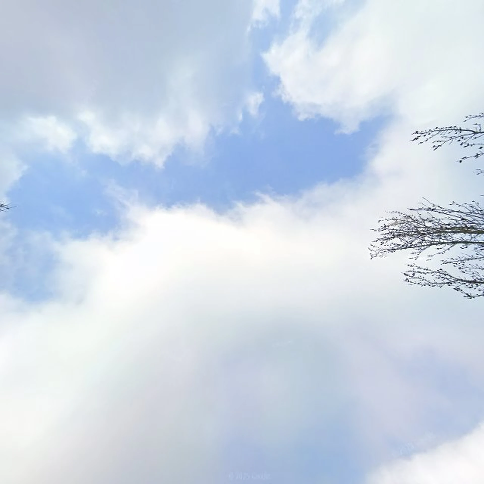 Kringloopwinkel Rataplan Opmeer in Opmeer