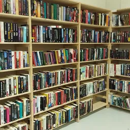 Houten boekenkasten gevuld met honderden tweedehands DVDs en blu-rays in verschillende kleuren