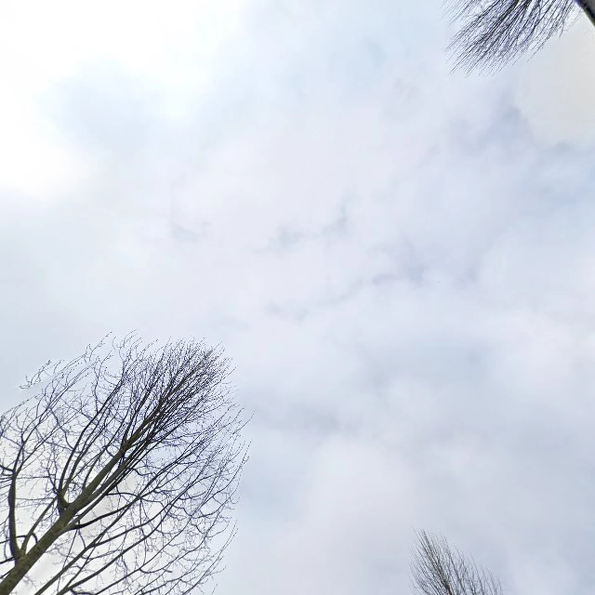 Kringloopwinkel RataPlan+ Thrift store in Amersfoort