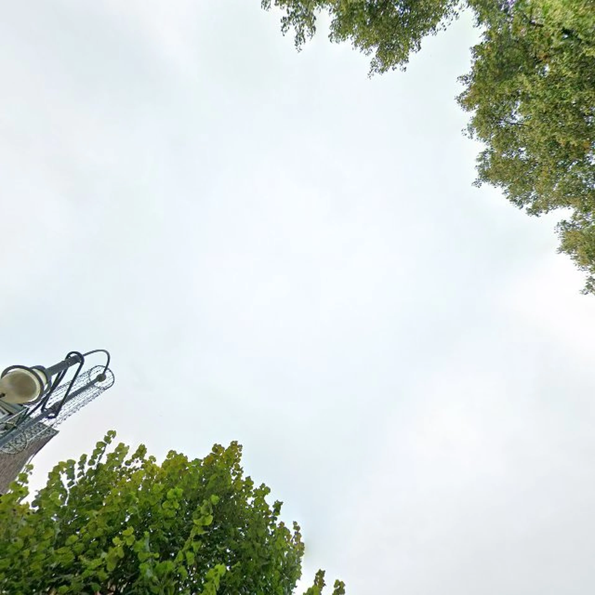 Kringloopwinkel Re-Sell Kringloopwinkel in 's-Gravenzande