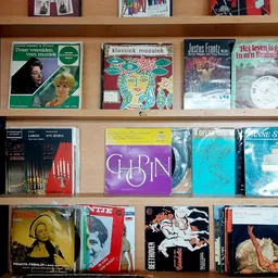 Planken met tweedehands vinyl records en muziekalbums van verschillende genres