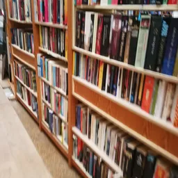 Houten boekenkasten met CDs en DVDs netjes uitgestald in rijen