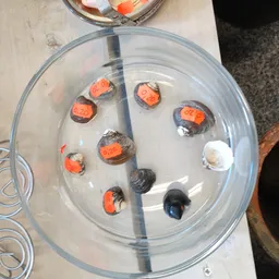 Kunststof bakje met water en diverse insecten met rode en zwarte kleuren