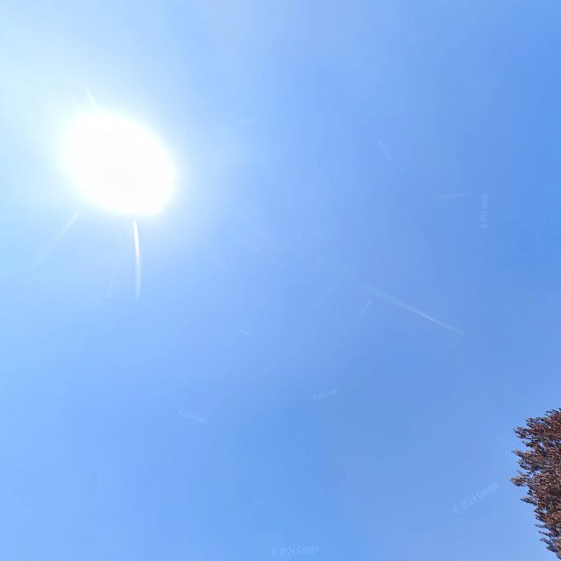 Kringloopwinkel Kringloopwinkel Restore "Wullie hen't" in Barneveld