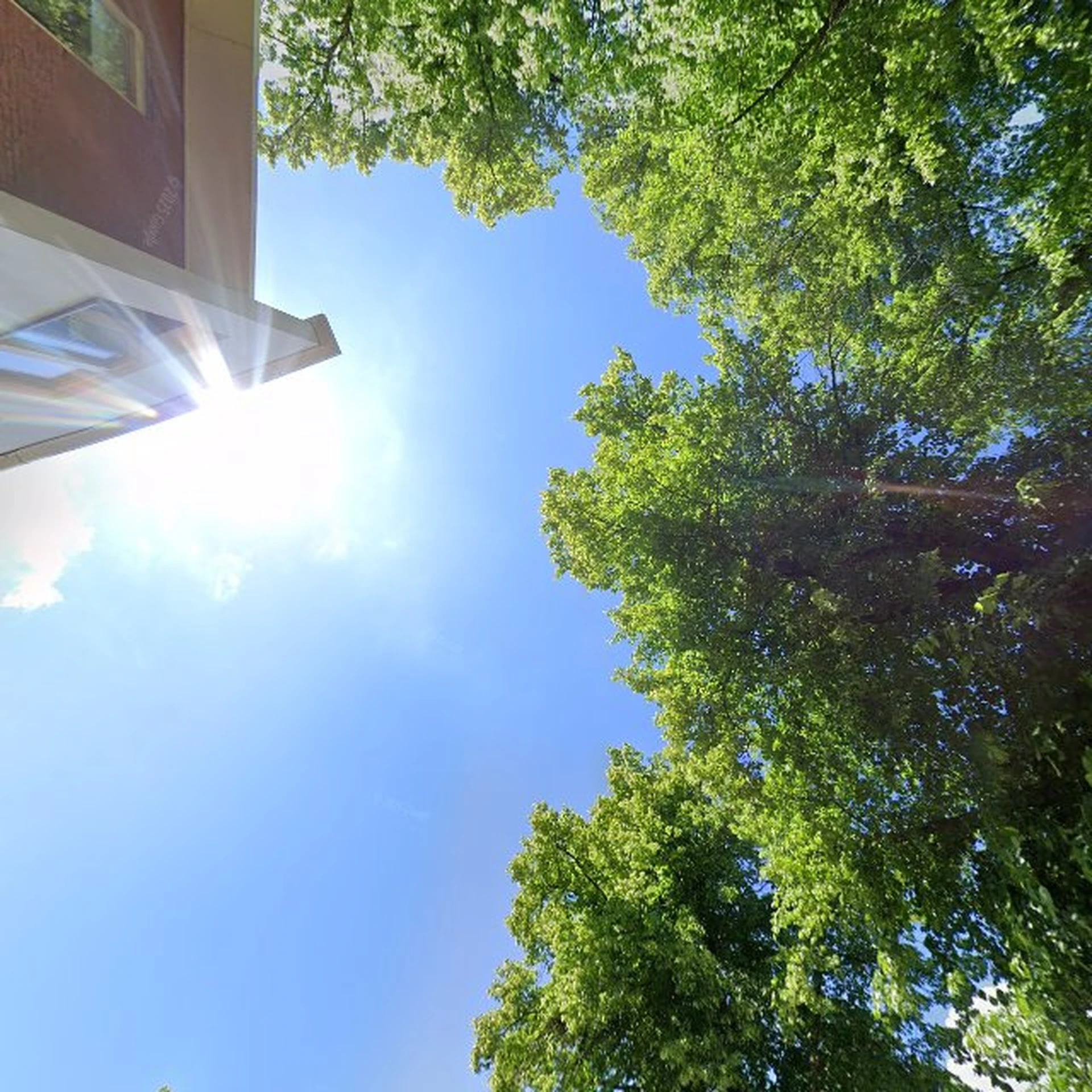 Kringloopwinkel Kringloopwinkel Ringloop in Epe