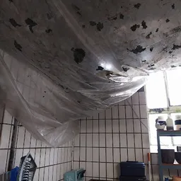 Bezoeker foto van Kringloopwinkel Ringloop in Epe