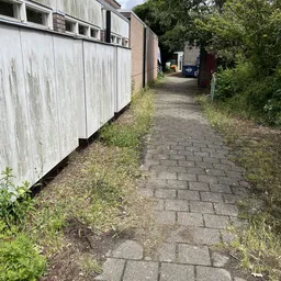 Zijpad langs een wit gebouw met groeiend onkruid op de kasseien