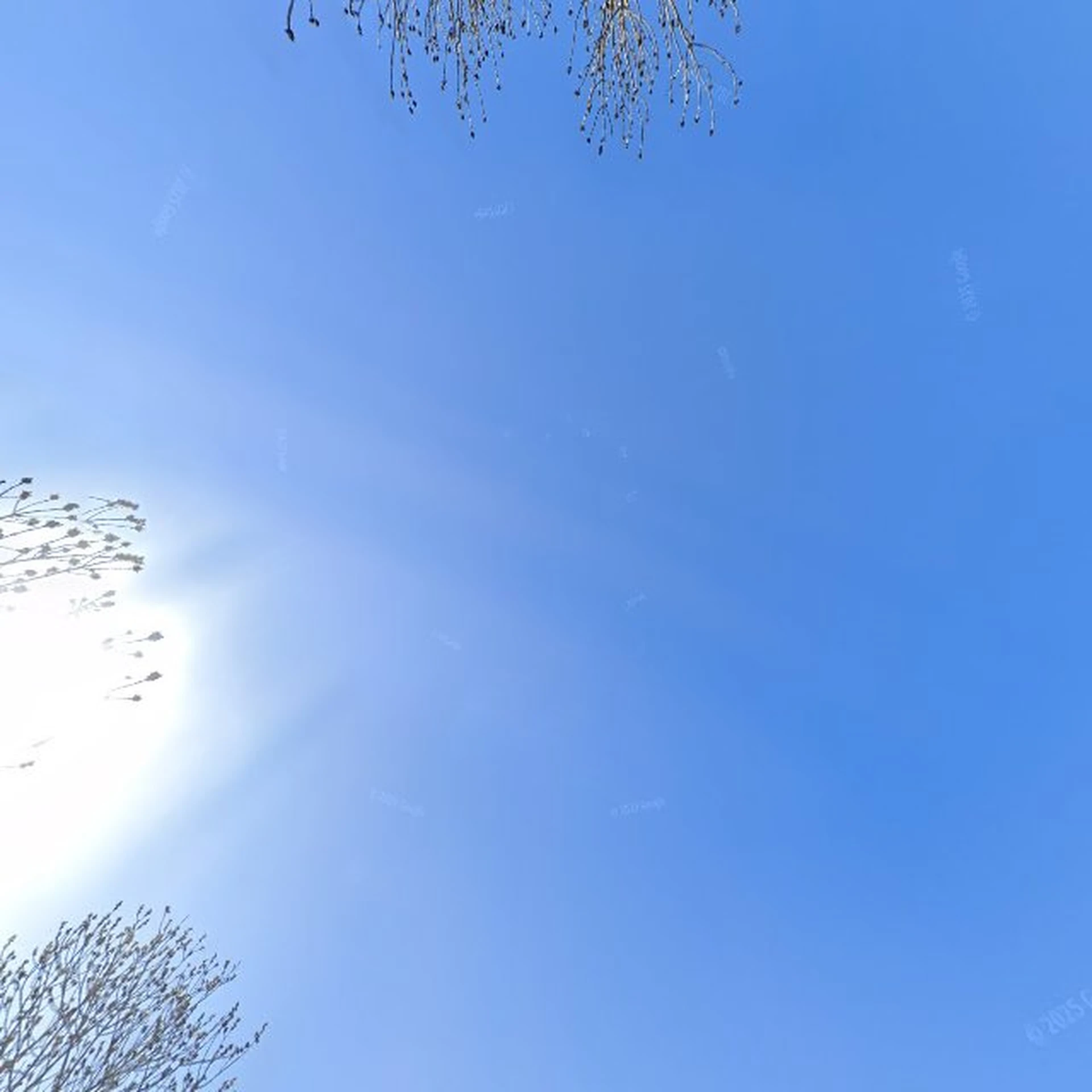 Kringloopwinkel Kringloopwinkel Roemenieschuur Grijpskerke in Grijpskerke