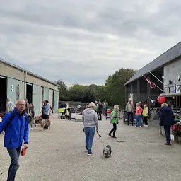 Bezoeker foto van Kringloopwinkel Rommelmarkt Den Hoorn in Den Hoorn