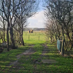 Bezoeker foto van Kringloopwinkel Rommelmarkt Den Hoorn in Den Hoorn