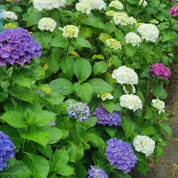 Bezoeker foto van Kringloopwinkel Ruilwinkel Goes in Goes