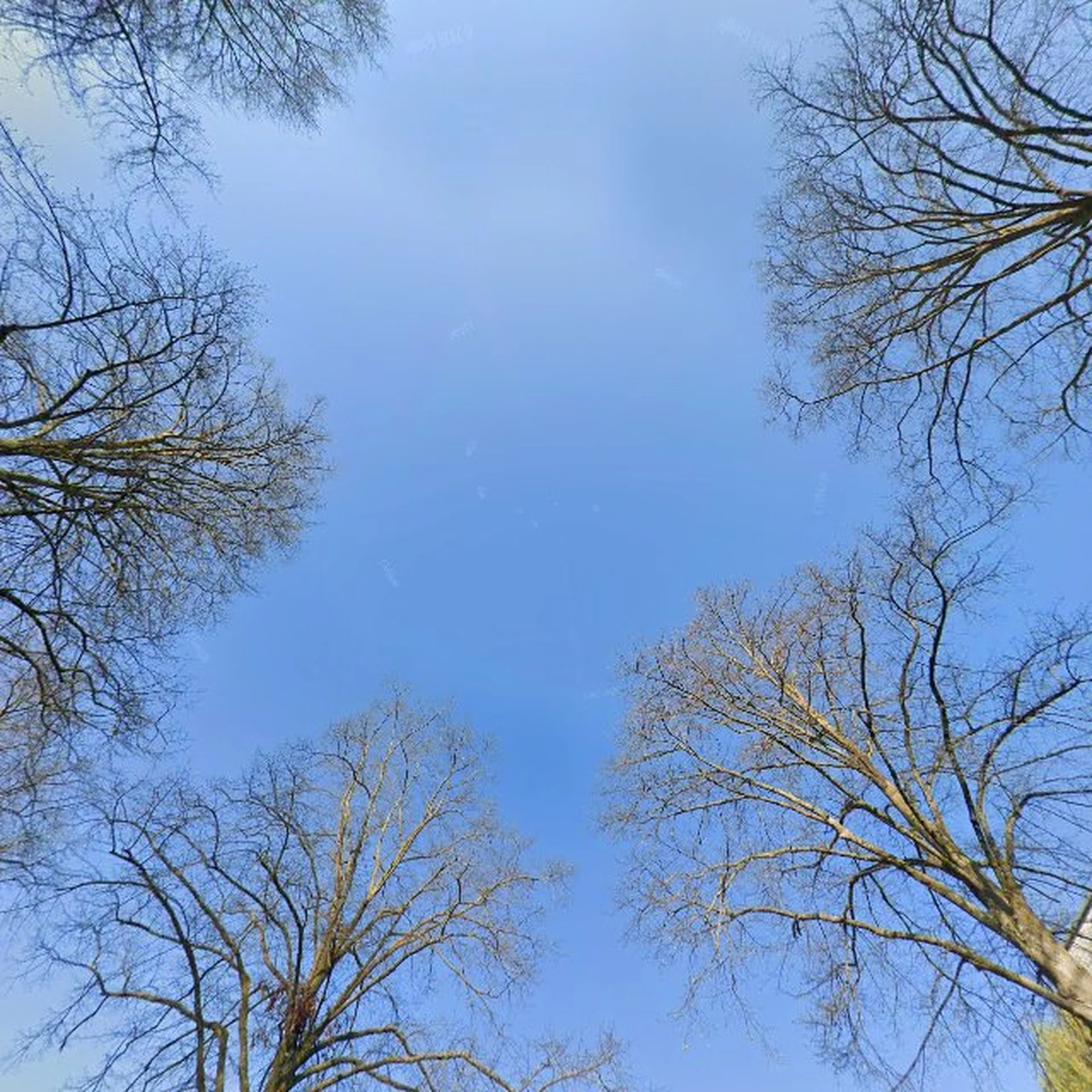 Kringloopwinkel Kringloopwinkel Ruilwinkel Oss in Oss