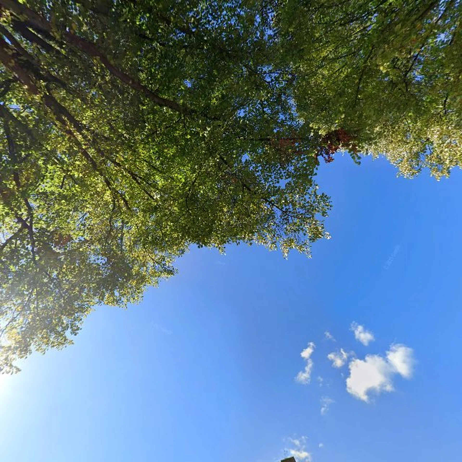 Kringloopwinkel Kringloopwinkel Rustikke in Zoetermeer