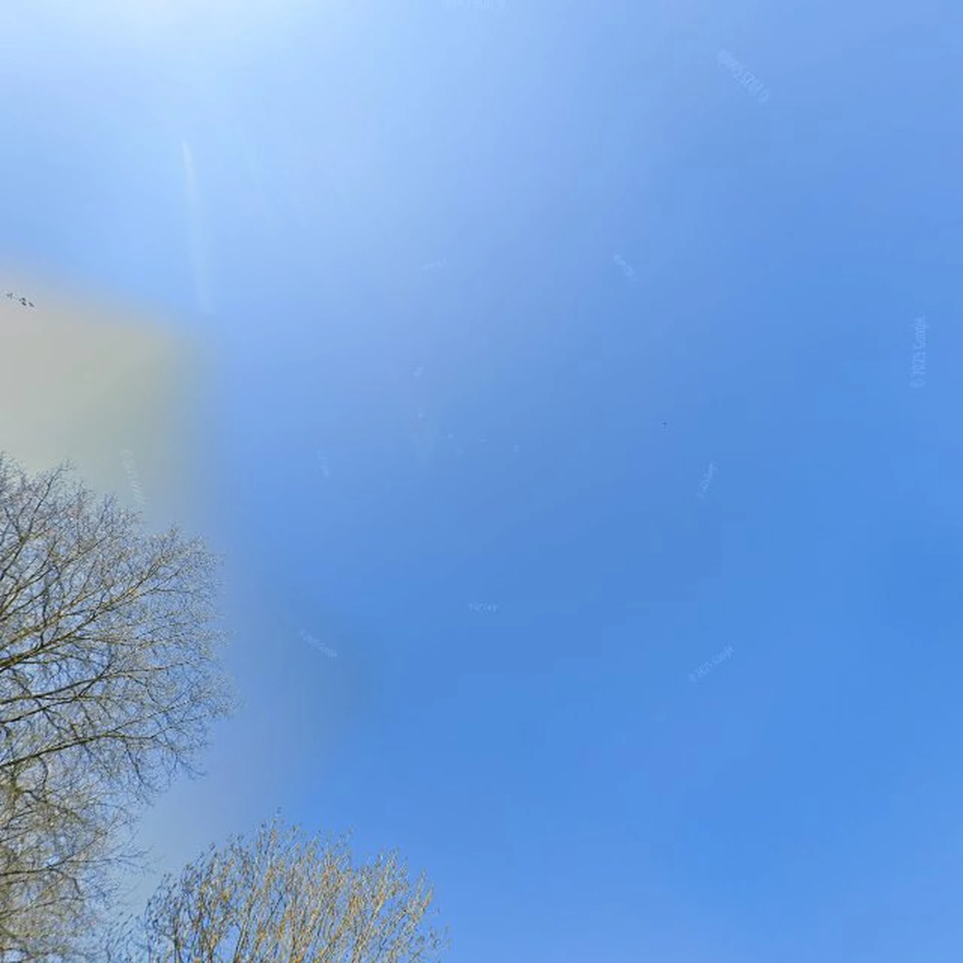 Kringloopwinkel Kringloopwinkel Schakel Tweedehands Kleding De in Malden