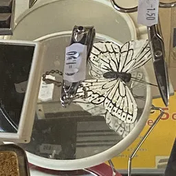 Bezoeker foto van Schroeder Kringloop Loosduinsekade in Den Haag