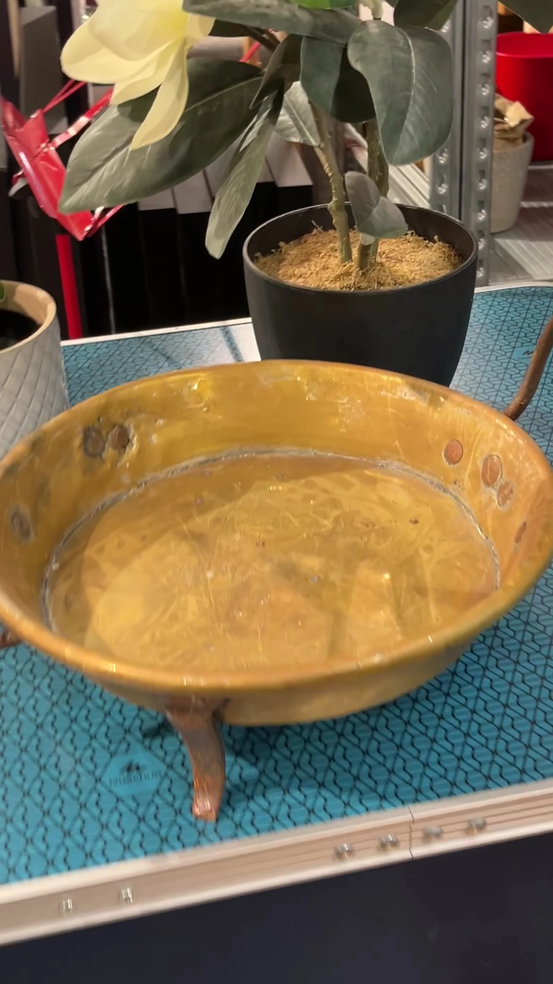 Kringloopwinkel Schroeder Kringloop Theresiastraat in The Hague