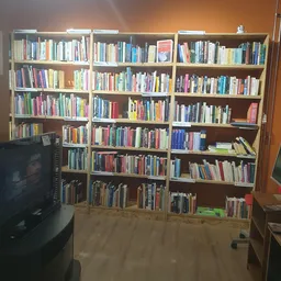 Grote boekenkasten met honderden tweedehands boeken in verschillende kleuren, netjes gerangschikt op meerdere niveaus