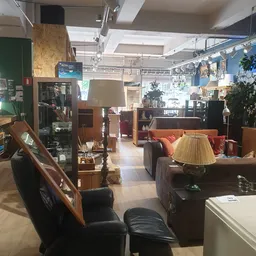 Winkelvloer van kringloopwinkel met meubels, lampen, planten en diverse huishoudelijke artikelen