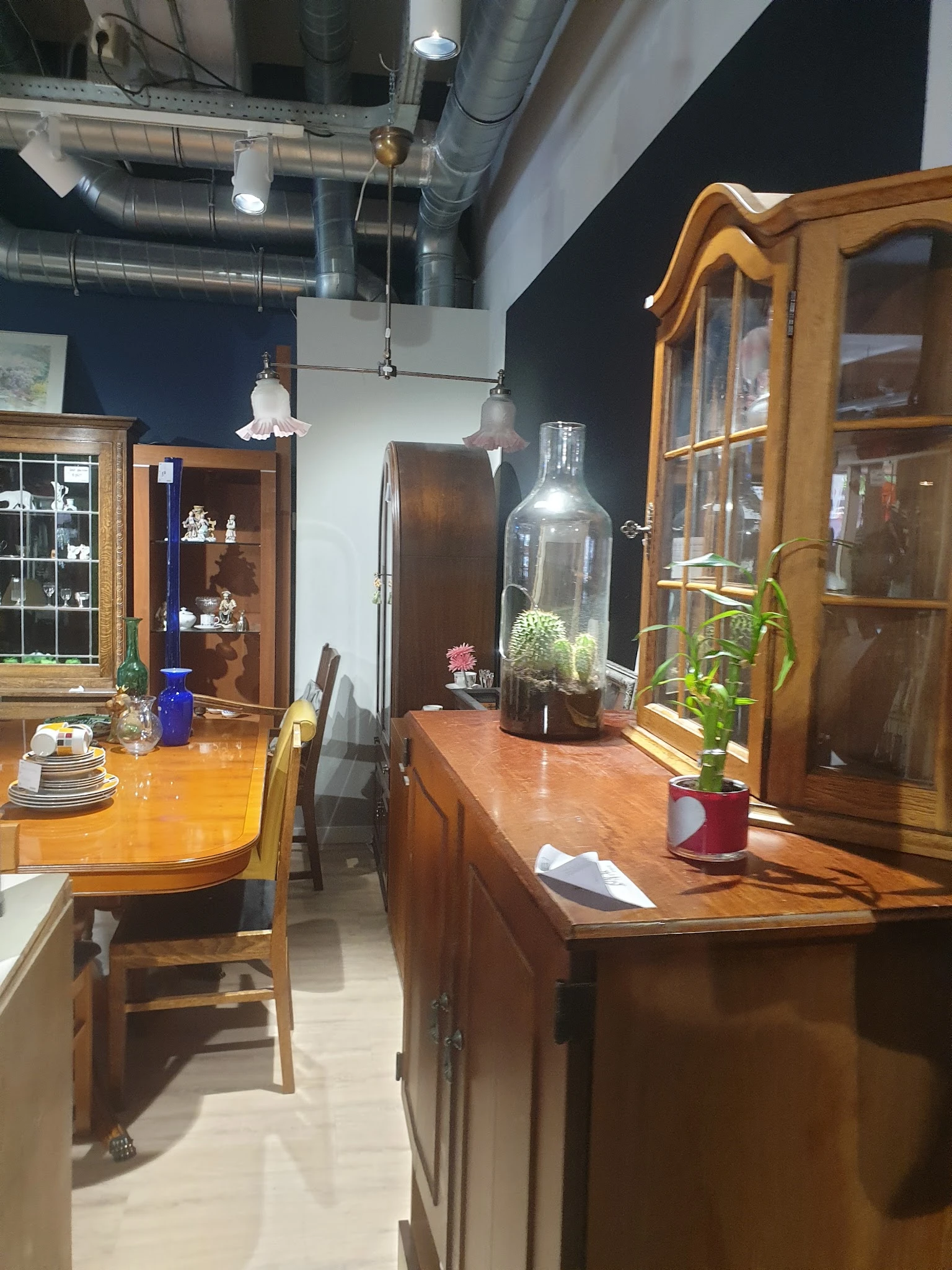 Winkelinterieur met houten meubels, vitrines, planten en decoratie