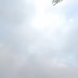 Kringloopwinkel Kringloopwinkel Schuurverkoop Het Honk in De Klomp