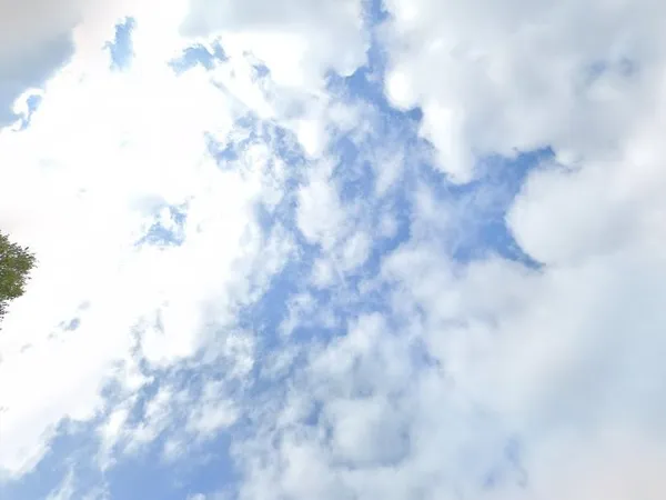 Kringloopwinkel Kringloopwinkel Second Hand Joy in Assen