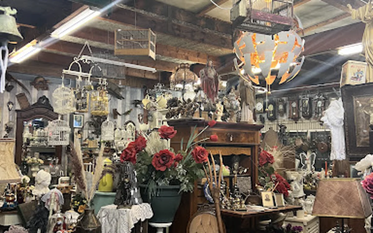 Interieur van kringloopwinkel met tal van decoratieve items, hangende lampen, bloemen en meubels vol gesteld