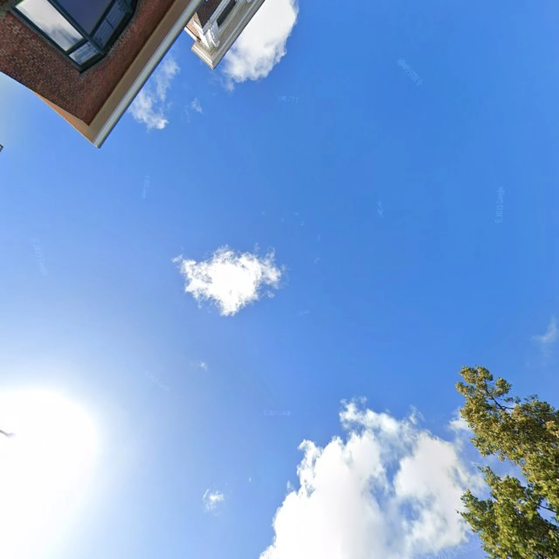 Kringloopwinkel Kringloopwinkel Secondhand Rose in Den Haag