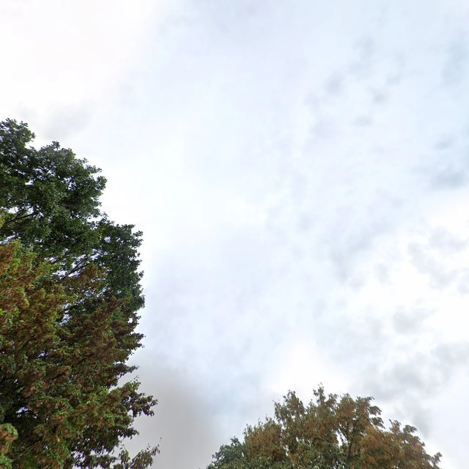 Kringloopwinkel Secondhand Treasures by Joyce in Born