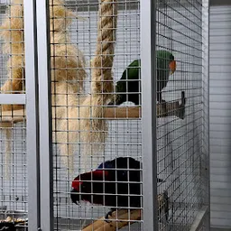 Bezoeker foto van Secondhand Treasures by Joyce in Born