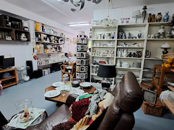 Interieur van secondhandwinkel met shelving units vol servies en decoratieve items, eettafel in voorgrond, diverse stellingen