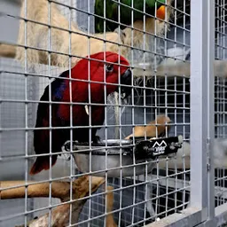 Bezoeker foto van Secondhand Treasures by Joyce in Born